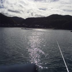 初見草漁港!カンパチ釣れた!