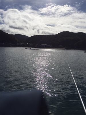 初見草漁港!カンパチ釣れた!