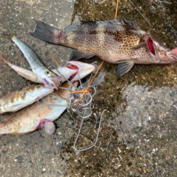 初めての島で釣り