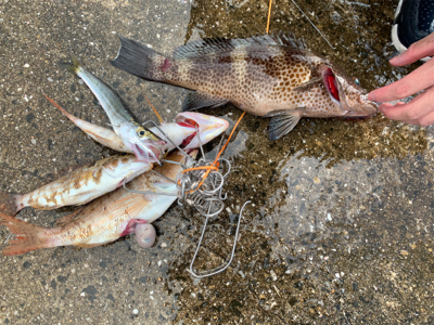 初めての島で釣り