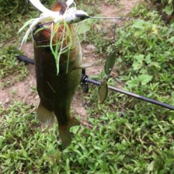 サイトと巻物で