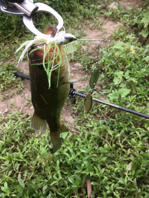 サイトと巻物で