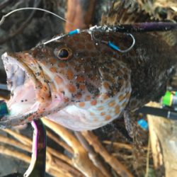 やっとお父さん