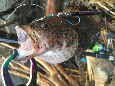 やっとお父さん