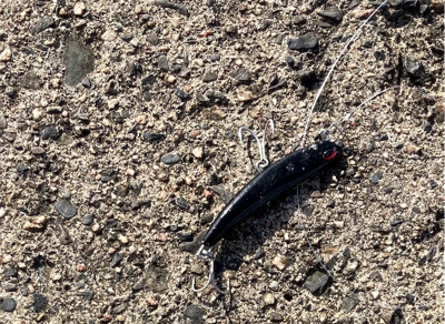 簡単な釣り方で釣れる　初心者のマゴチフィッシング