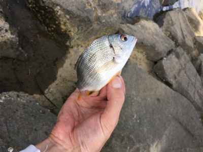 灼熱サーフ河口ランガン