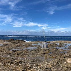 田辺湾沖磯遠征!