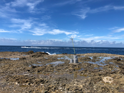 田辺湾沖磯遠征!