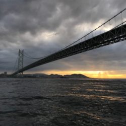 船ジギングは釣れる。