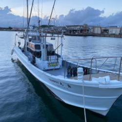 和歌山イカメタル