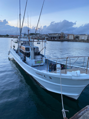 和歌山イカメタル