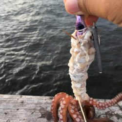 豚バラはどう？