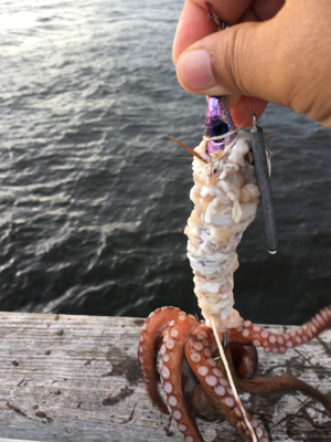 豚バラはどう？