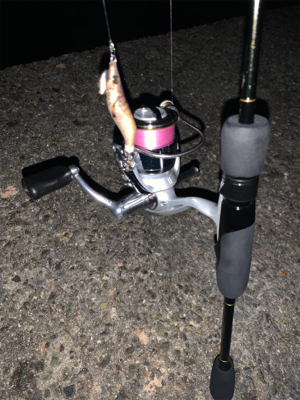 まだまだ小さい