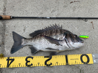 トップチニング