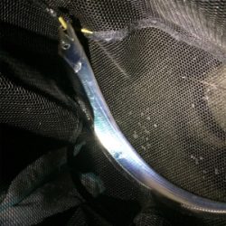 アジングに刀のおまけ付き笑