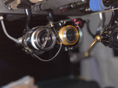 最近シャローばっか!