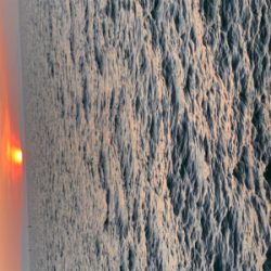 今季初、プチ爆！