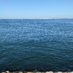 アジ〜んとタチ