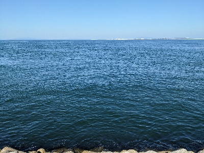 アジ〜んとタチ