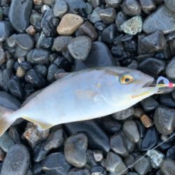 サイズが小さい