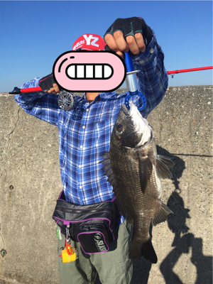 落とし込み チヌ