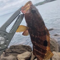 日本海最高‼️