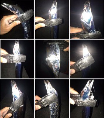 2020ライトゲーム第23戦　夏タチ爆釣！