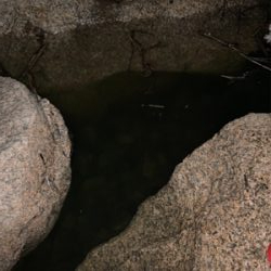 テナガエビ釣り