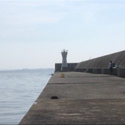 40年振りの渡堤