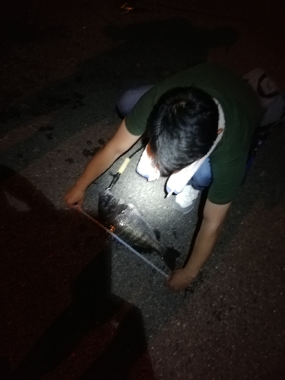 アジ渋かった。外道でチヌ51cm上がってた。