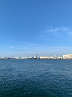 サビキとジグサビキ