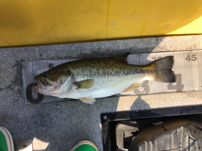 1日ボート釣行！