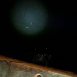 沖堤防の青物はこれから