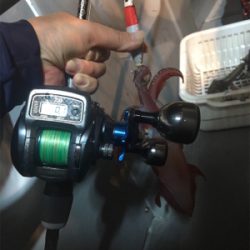 イカ釣り初挑戦