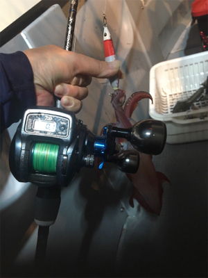 イカ釣り初挑戦