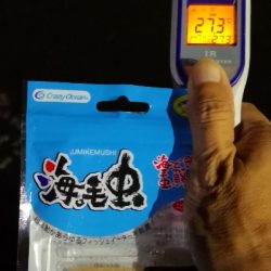 アジング練習 178