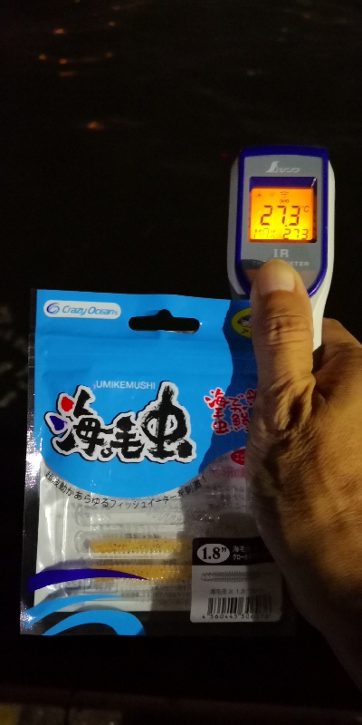 アジング練習 178