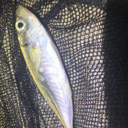 フロートアジング