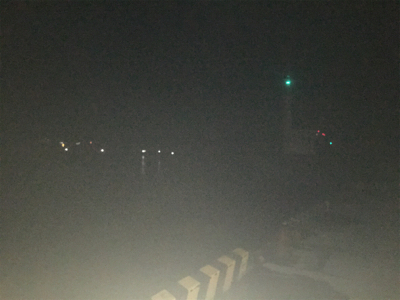 小鯖が大きくなってる!