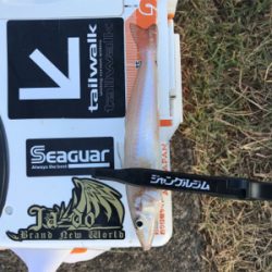 キスを求めて②