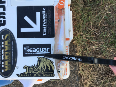 キスを求めて②