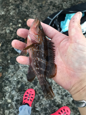 キス入れ食い状態