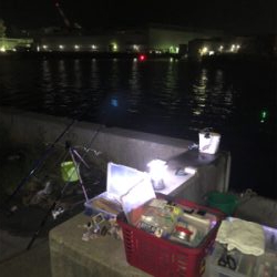 青物狙いでしたが⁉️