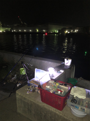 青物狙いでしたが⁉️