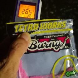 アジング練習 179