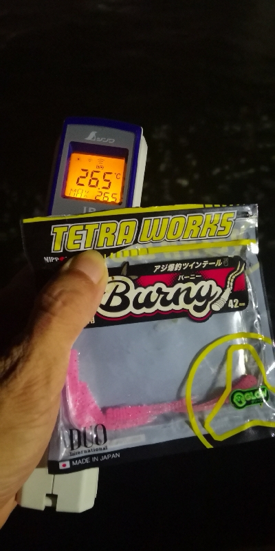 アジング練習 179