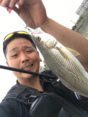 マゴチマンション釣行