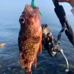 フロート・ガシリングと、ベリング