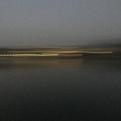 サバのなめろうが食べたくて！